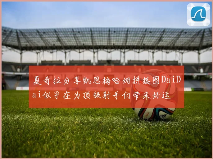 夏奇拉分享凯恩梅哈姆拼接图DaiDai似乎在为顶级射手们带来好运