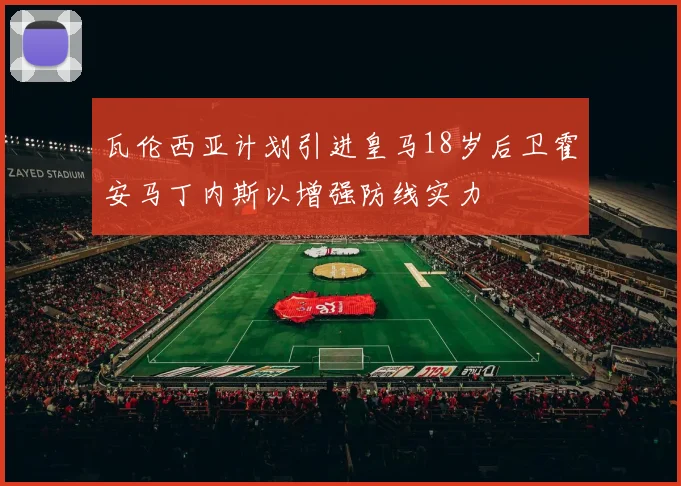 瓦伦西亚计划引进皇马18岁后卫霍安马丁内斯以增强防线实力