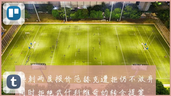 热刺两度报价范赫克遭拒仍不放弃同时拒绝武什科维奇的转会提案